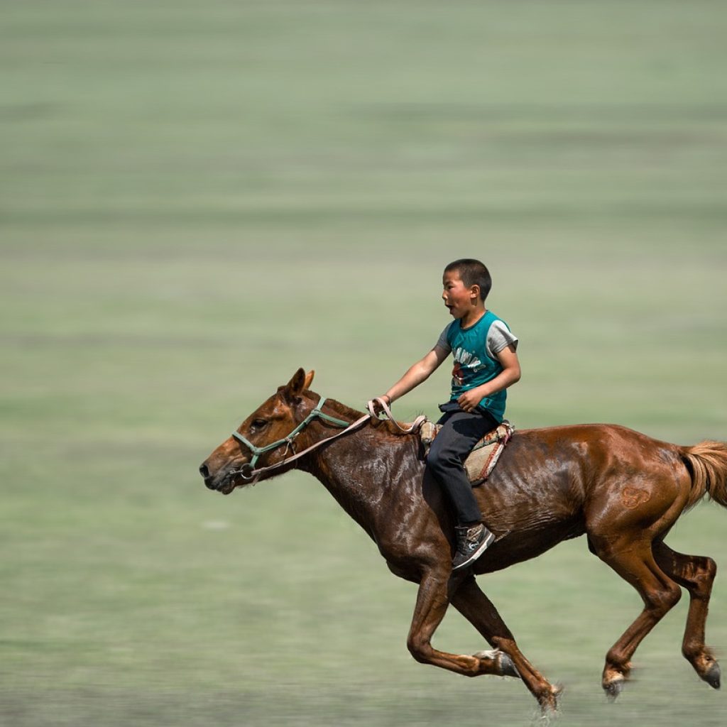 boy, horse riding, galloping