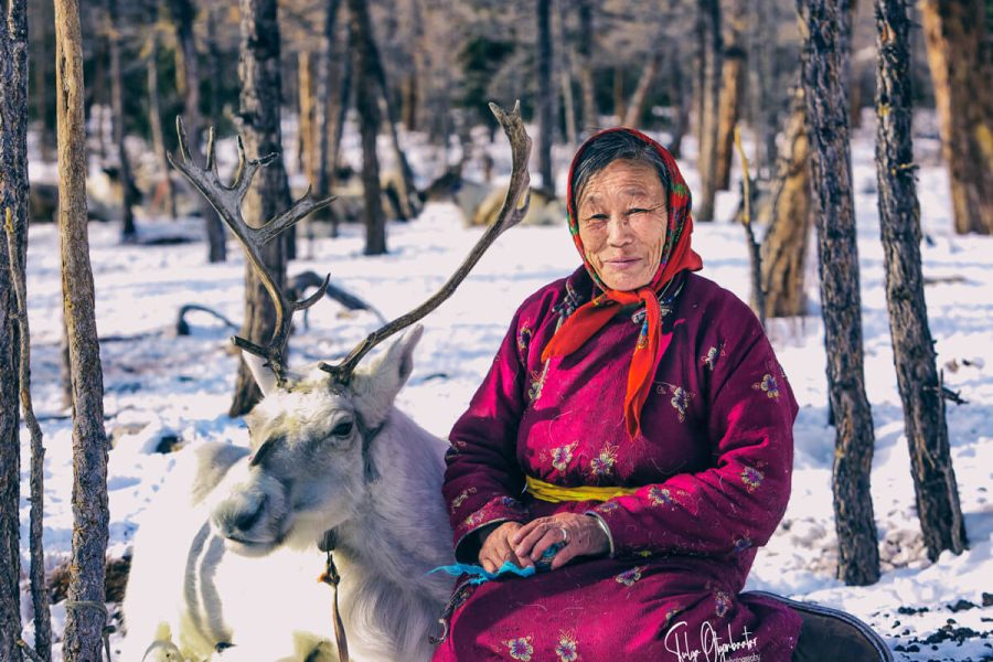 Dukha Reindheer Herder Tour in Mongolia