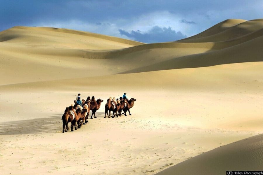 Gobi & Khuvsgul Lake Tour in Mongolia