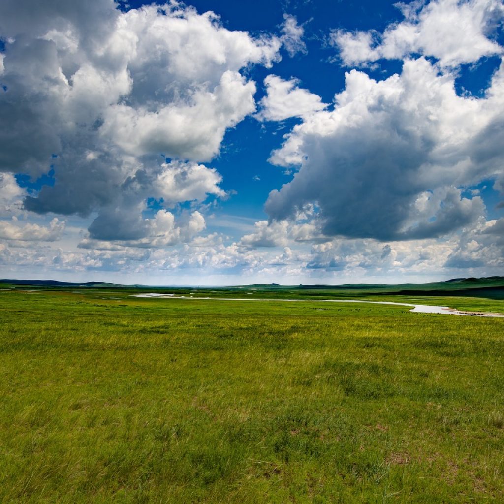 About Mongolia's vast Greenland.